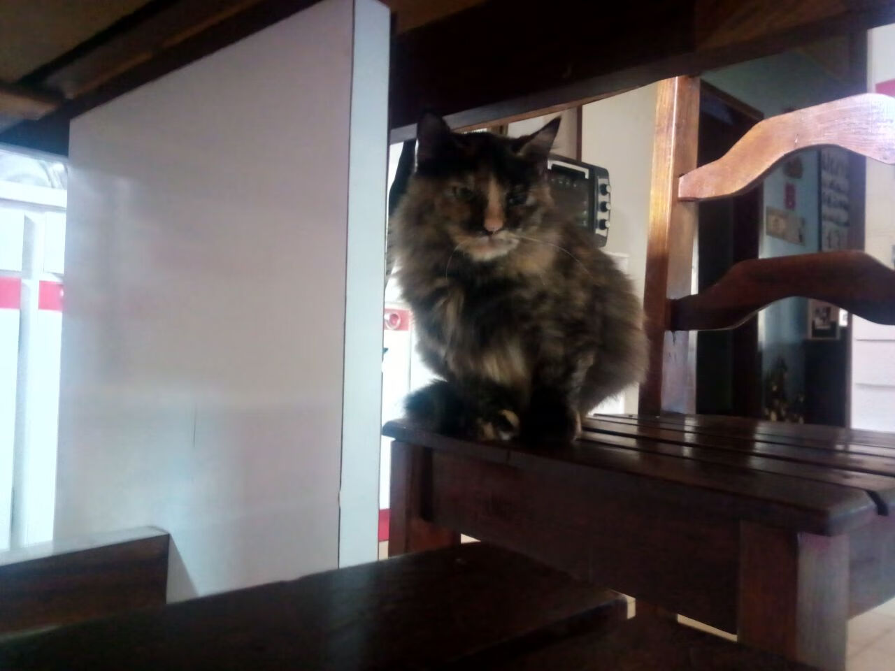 kaiyun体育综合-莱比锡红牛边路进攻主导比赛节奏，莱比锡红牛战术特点